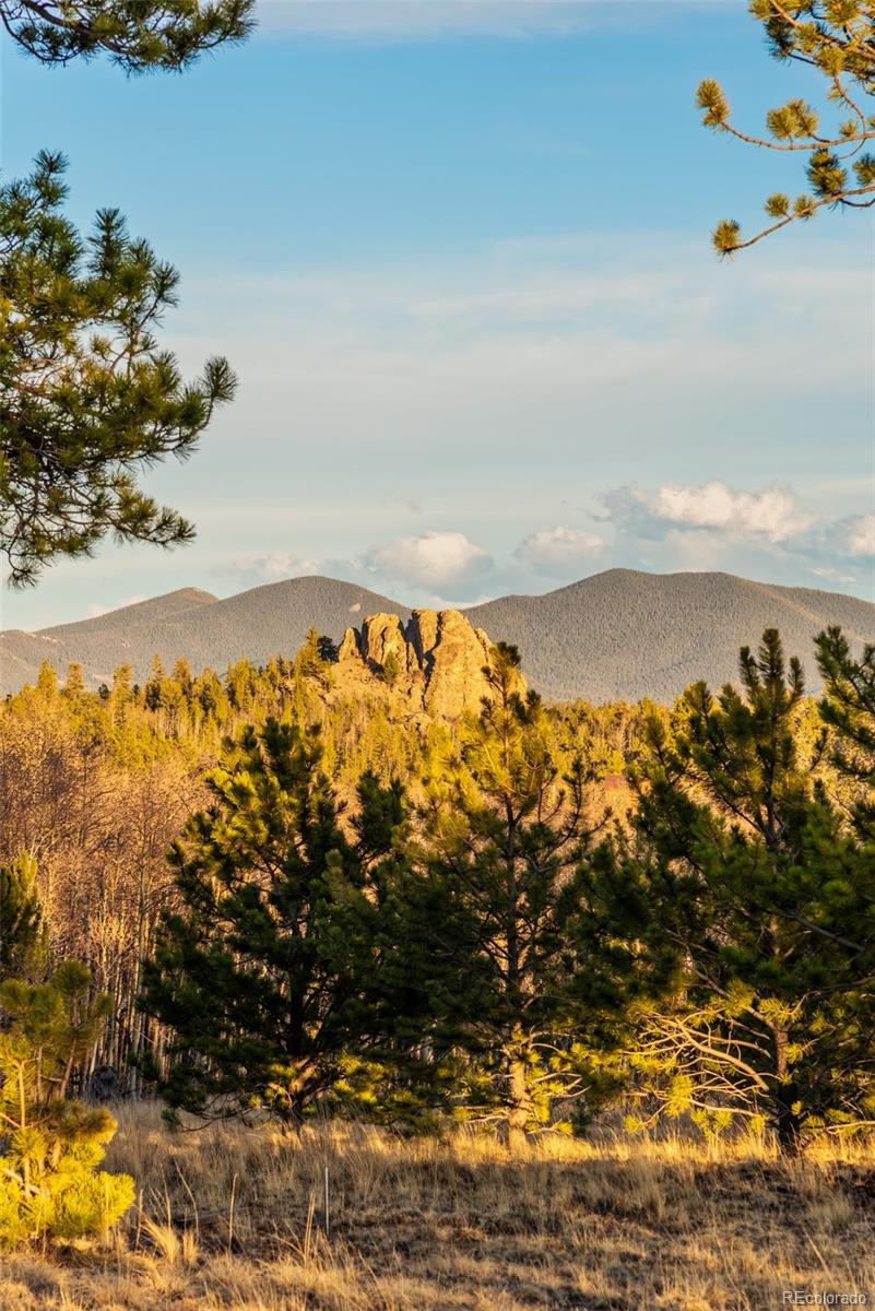 MLS Image #40 for 94  ute way,como, Colorado