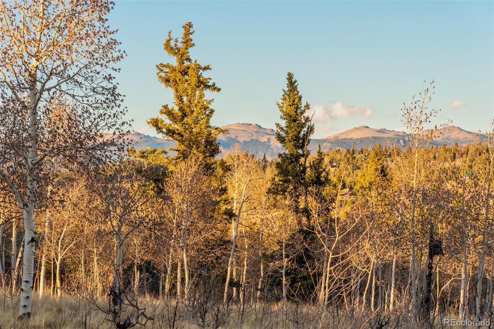 MLS Image #42 for 94  ute way,como, Colorado