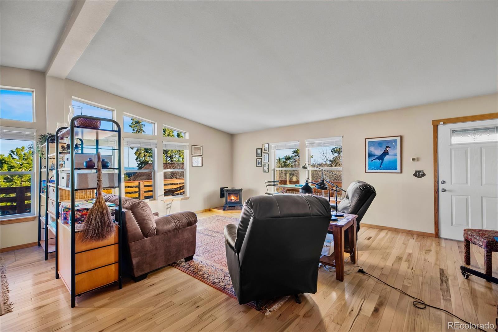 MLS Image #6 for 94  ute way,como, Colorado