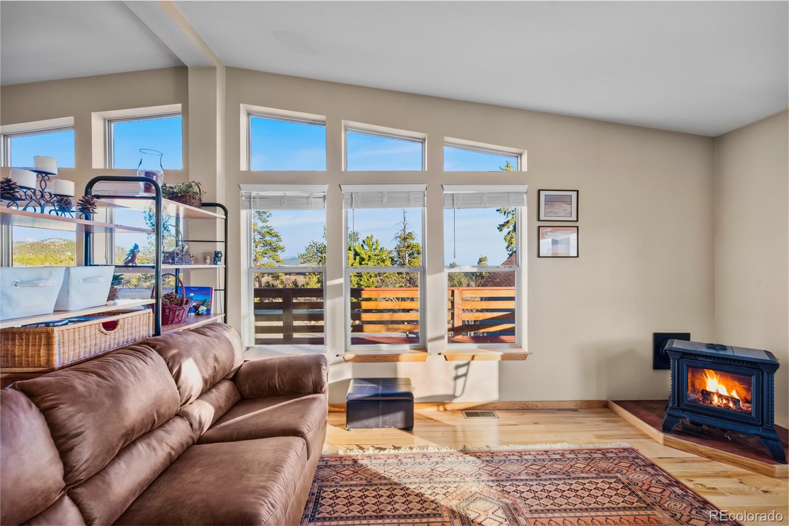 MLS Image #7 for 94  ute way,como, Colorado