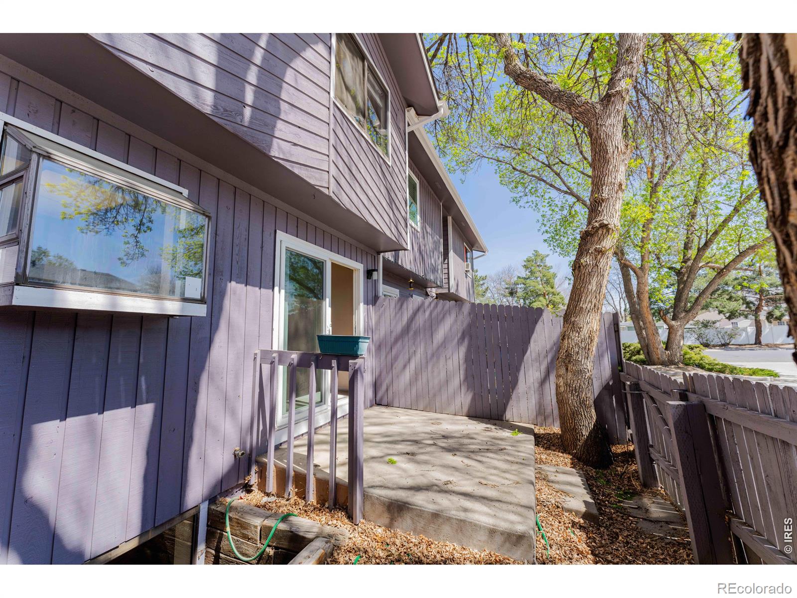 MLS Image #15 for 305  quebec avenue,longmont, Colorado