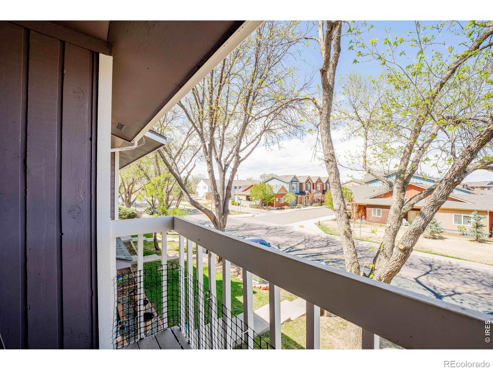 MLS Image #16 for 305  quebec avenue,longmont, Colorado