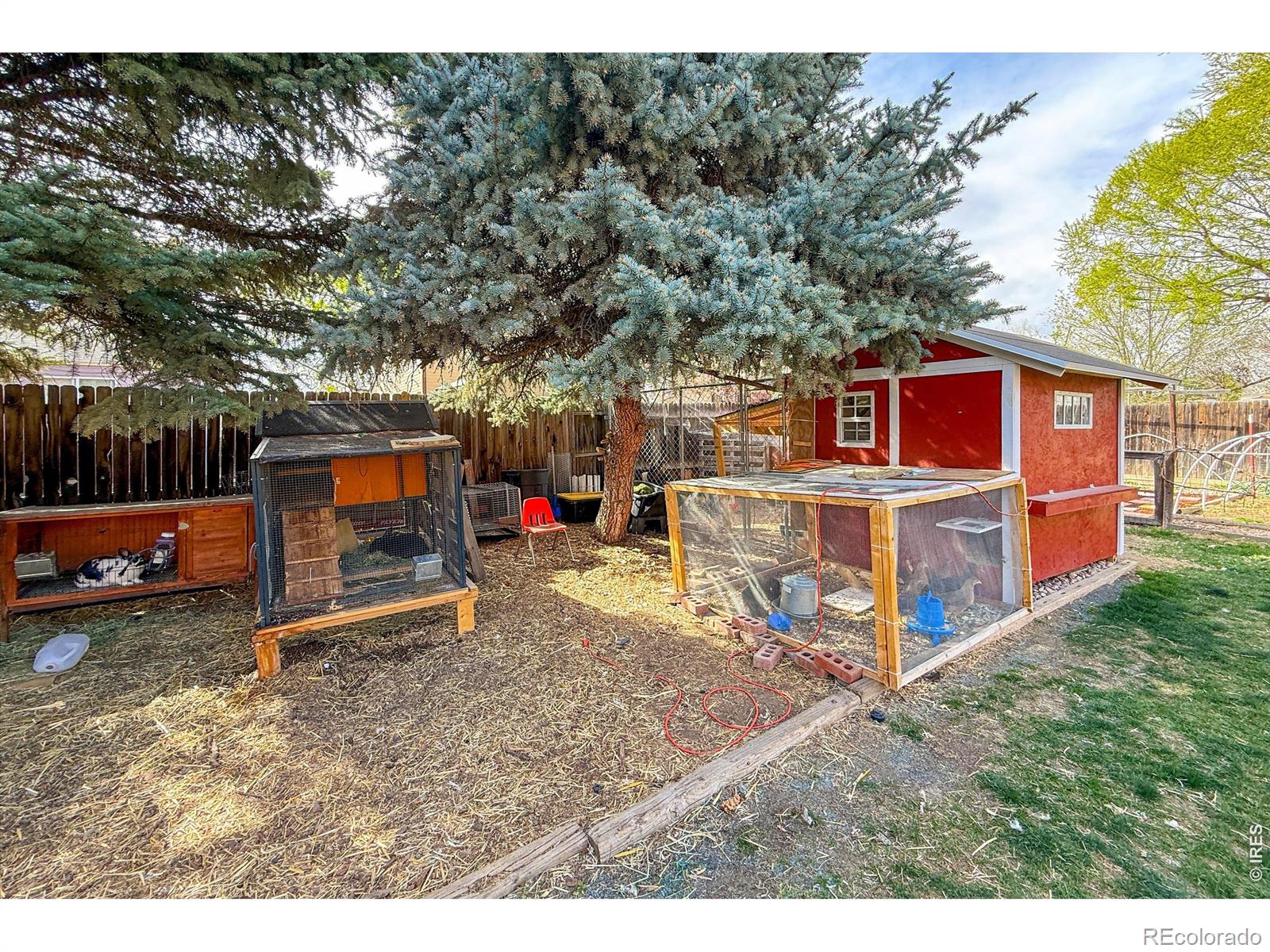MLS Image #35 for 2109  daley drive,longmont, Colorado
