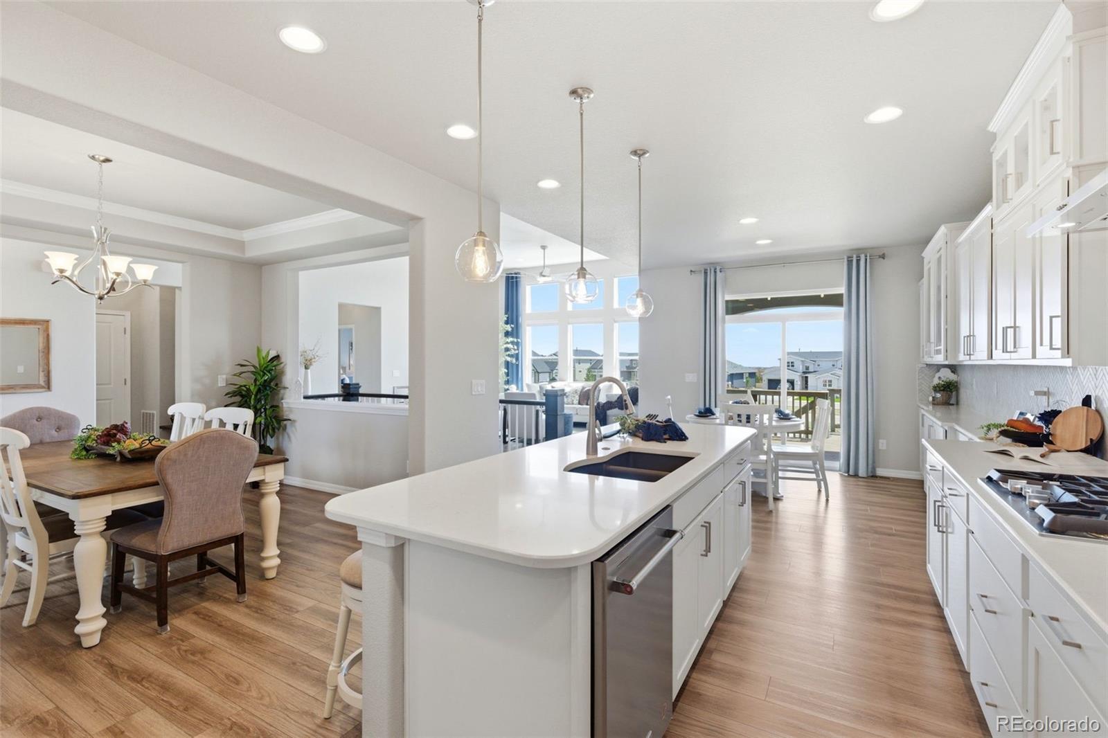 MLS Image #11 for 1459  coronado beach drive,monument, Colorado