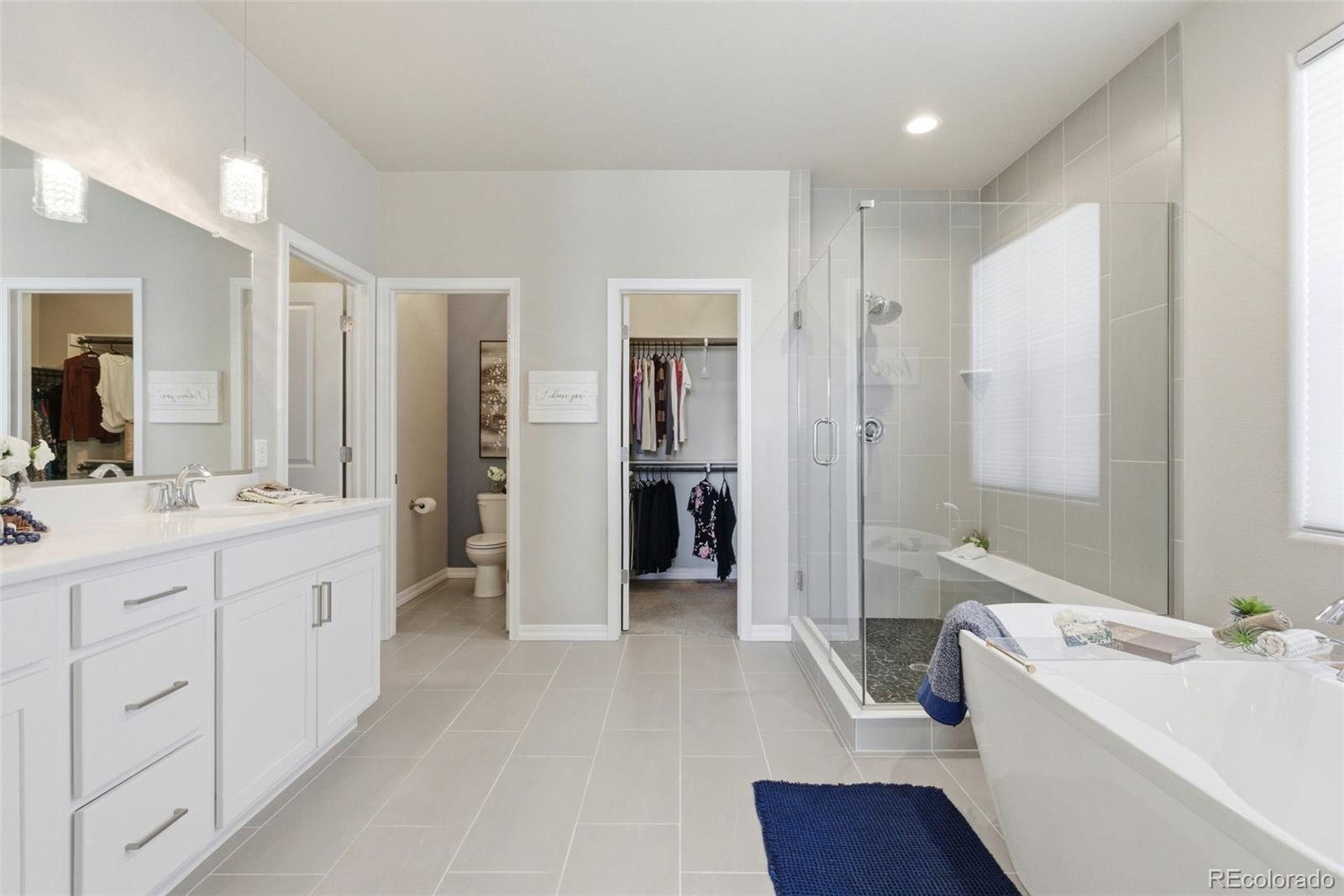MLS Image #20 for 1459  coronado beach drive,monument, Colorado