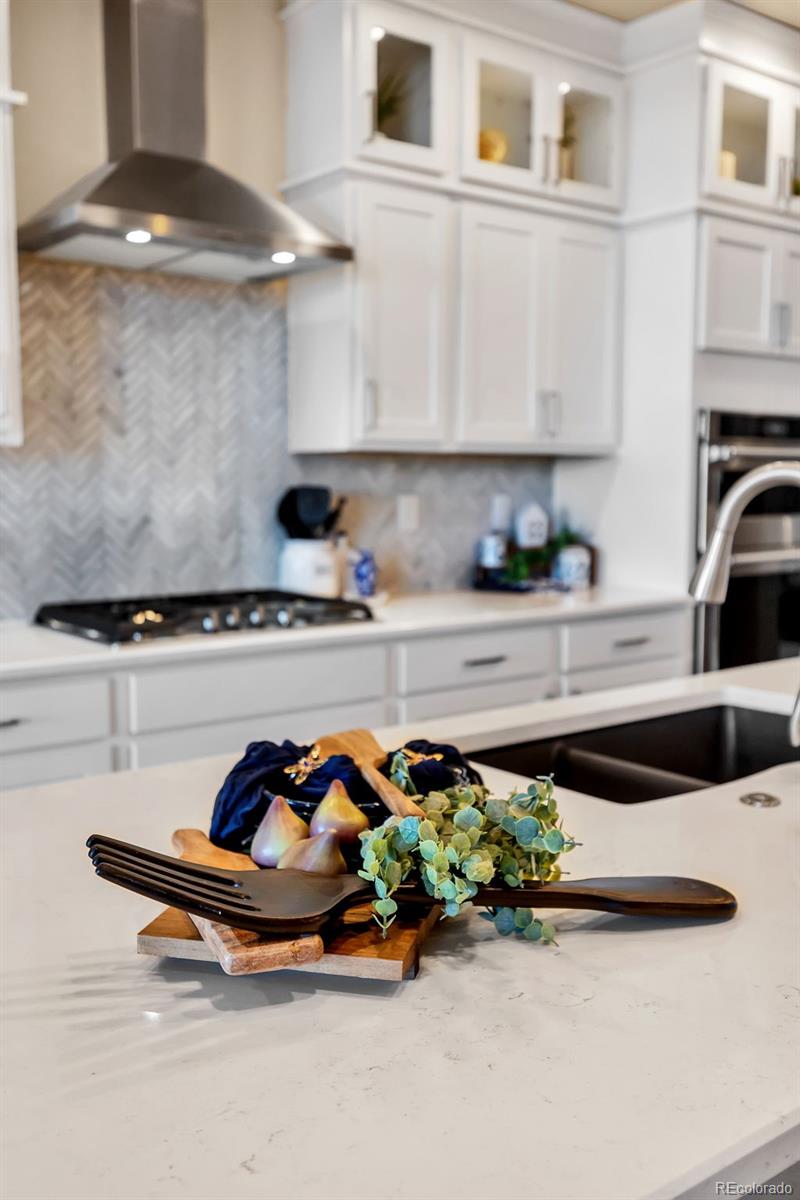 MLS Image #7 for 1459  coronado beach drive,monument, Colorado