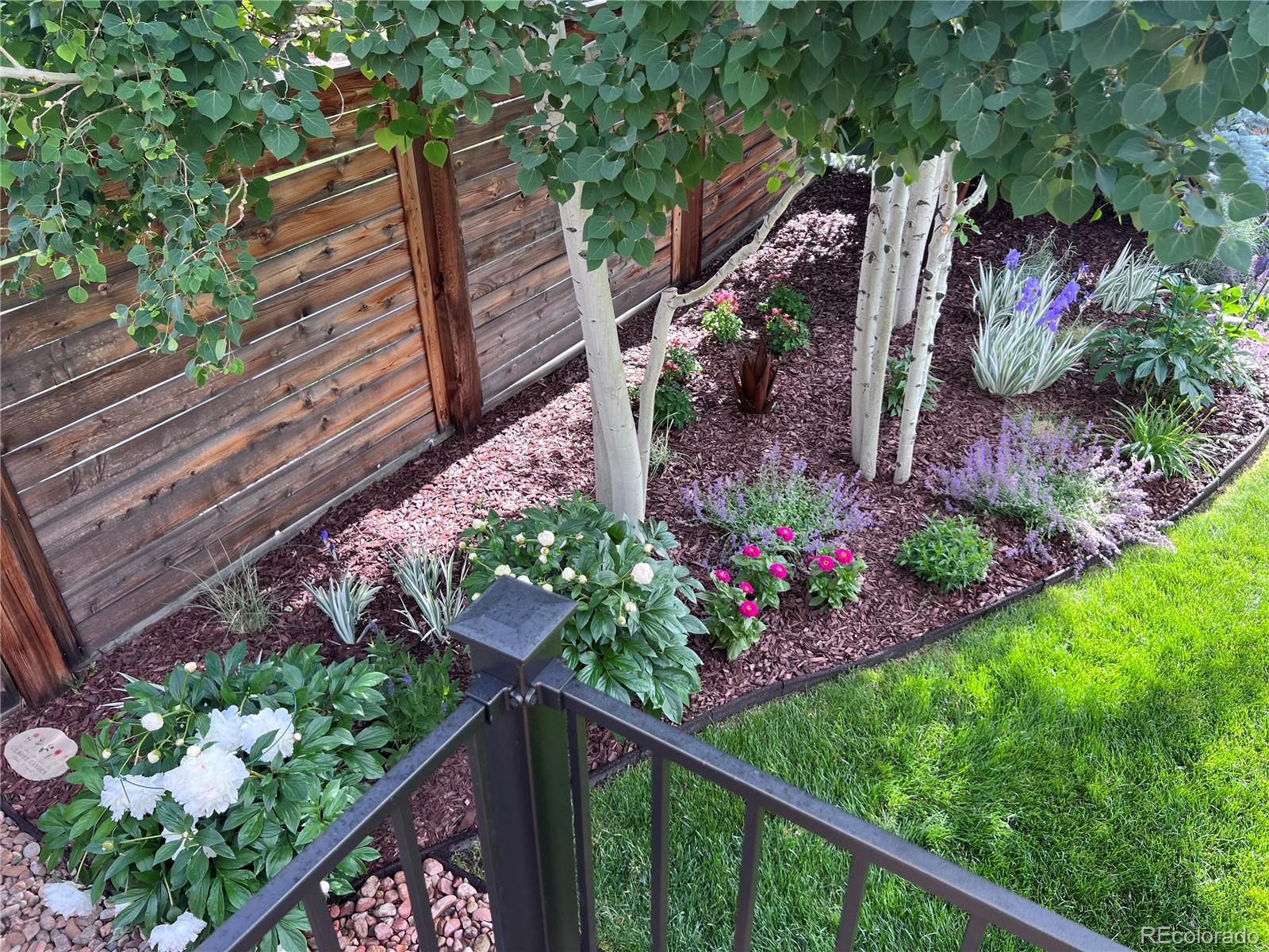 MLS Image #32 for 7438 s pennsylvania street,littleton, Colorado