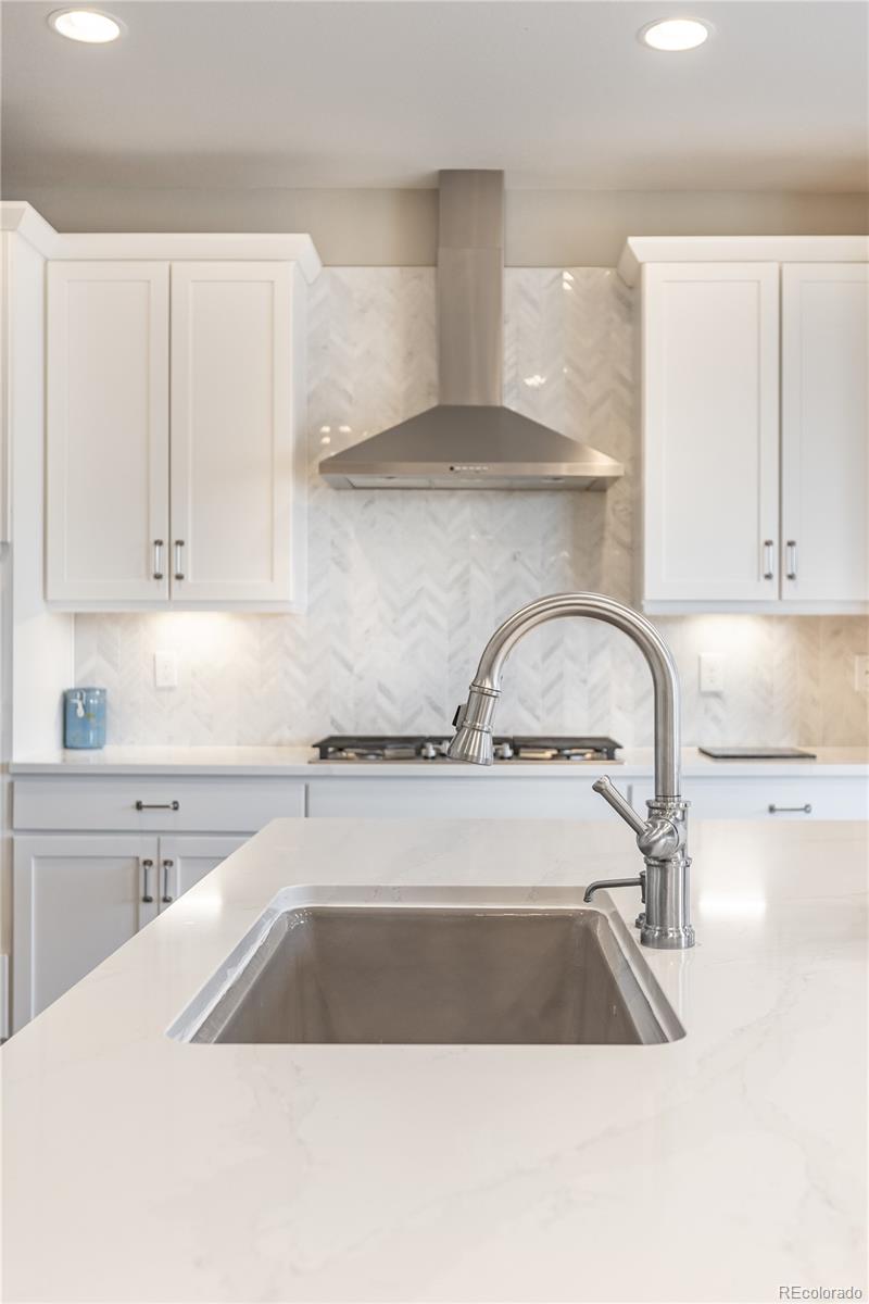 MLS Image #8 for 968  white leaf circle,castle rock, Colorado