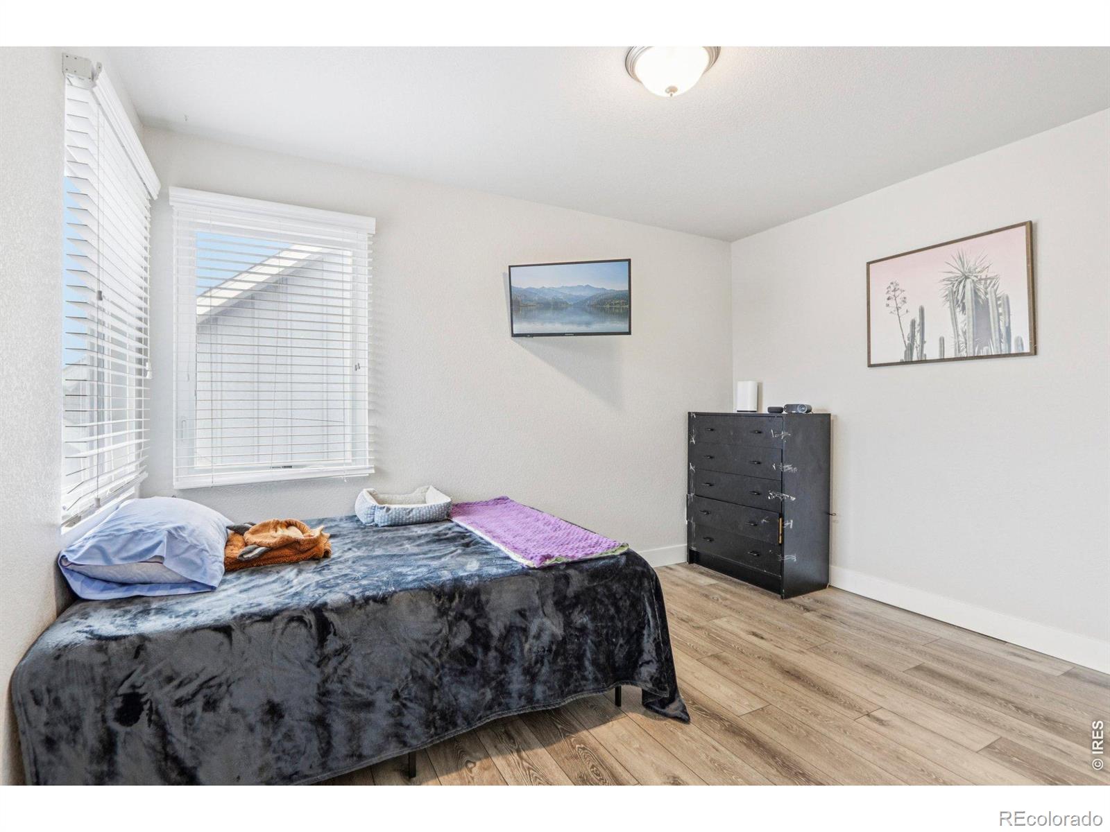 MLS Image #14 for 3220  picasso drive,loveland, Colorado