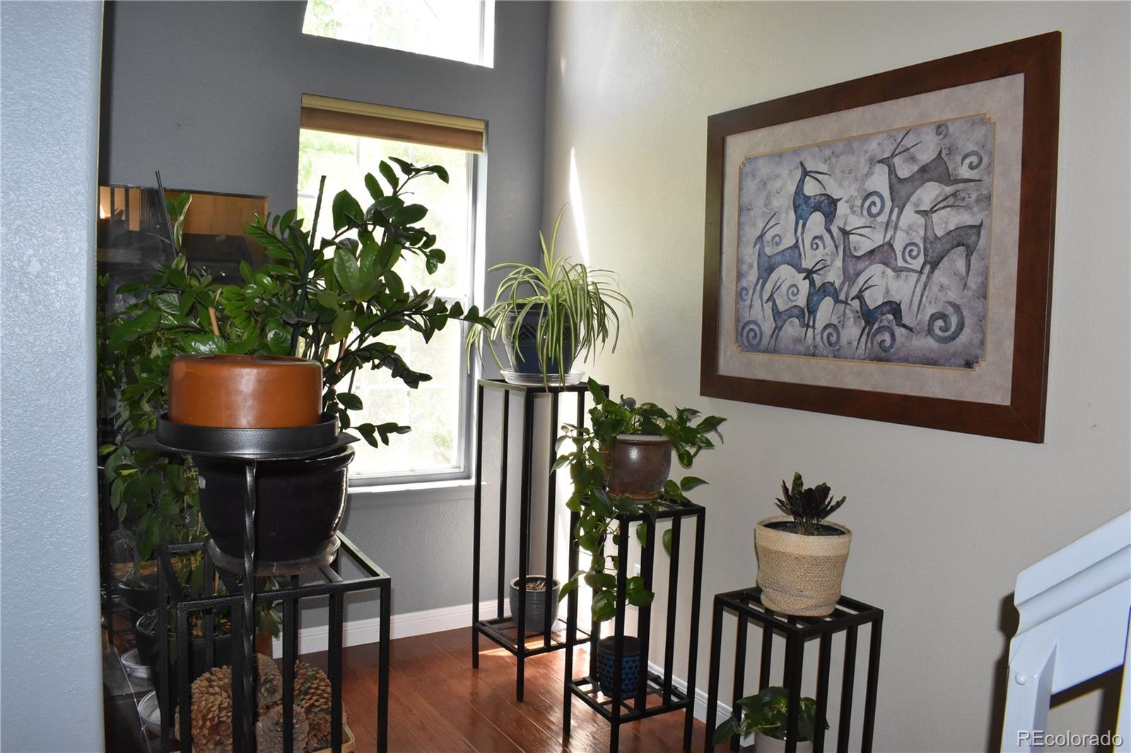 MLS Image #9 for 11041  huron street 707,northglenn, Colorado