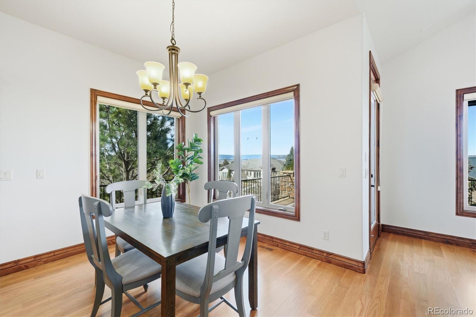 MLS Image #11 for 1356  fox hollow place,castle rock, Colorado