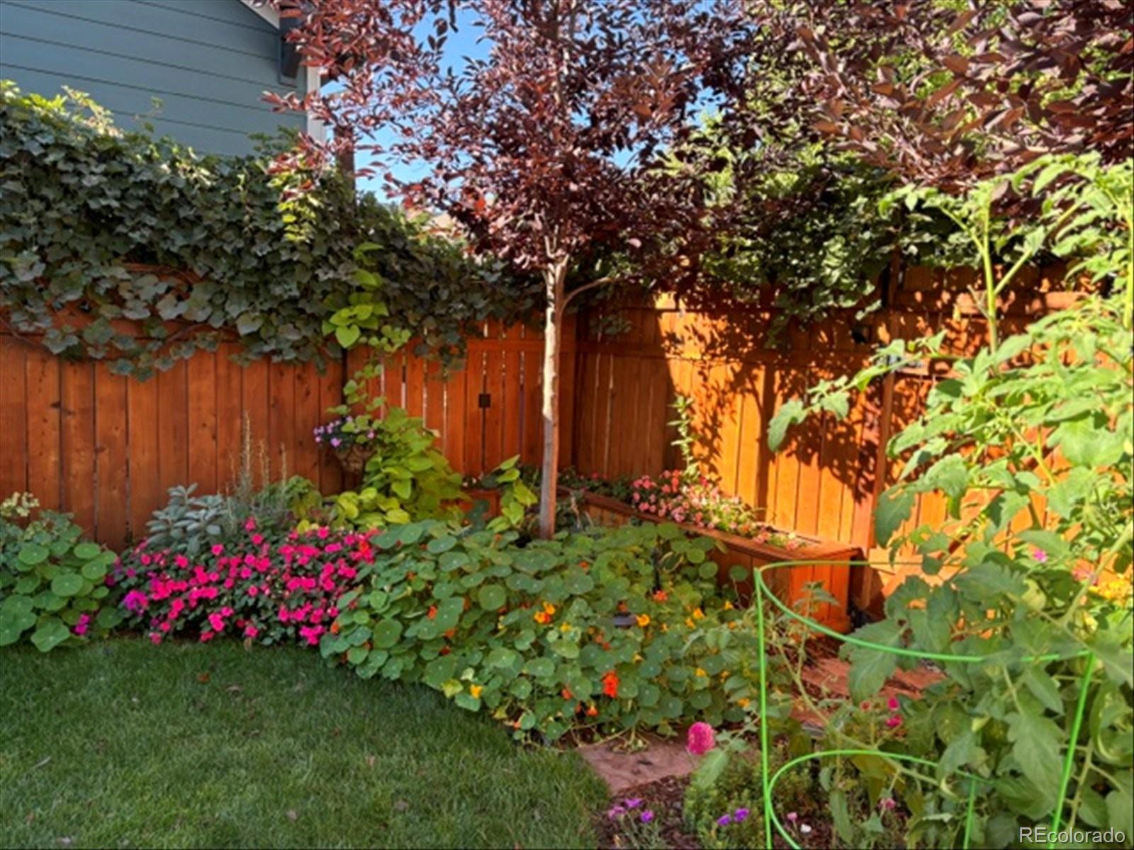 MLS Image #35 for 2783  havana street,denver, Colorado