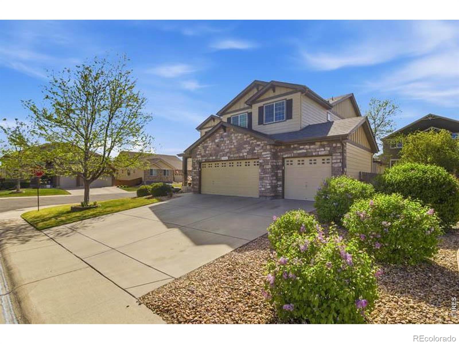 MLS Image #1 for 13313  jersey street,thornton, Colorado