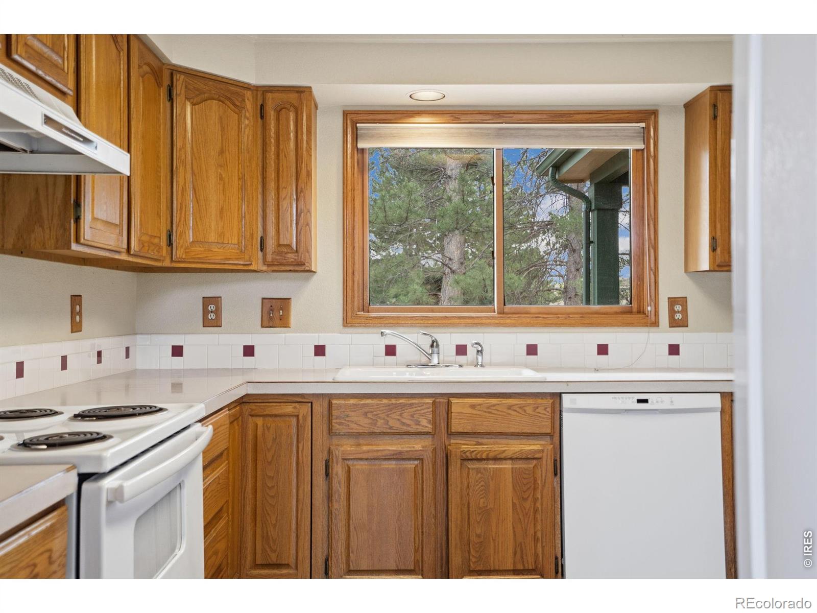 MLS Image #14 for 3019  lisette court,fort collins, Colorado