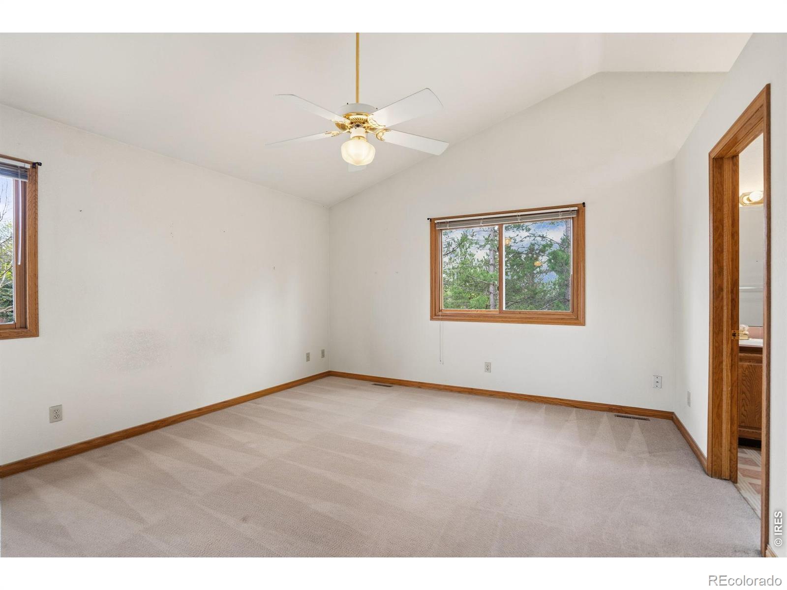 MLS Image #29 for 3019  lisette court,fort collins, Colorado