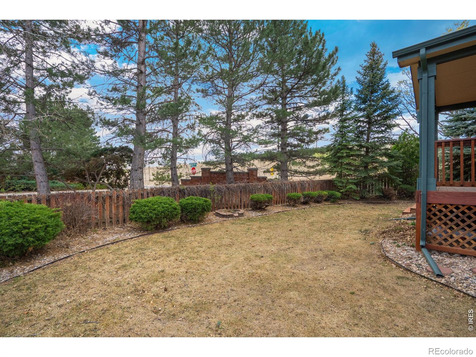 MLS Image #4 for 3019  lisette court,fort collins, Colorado