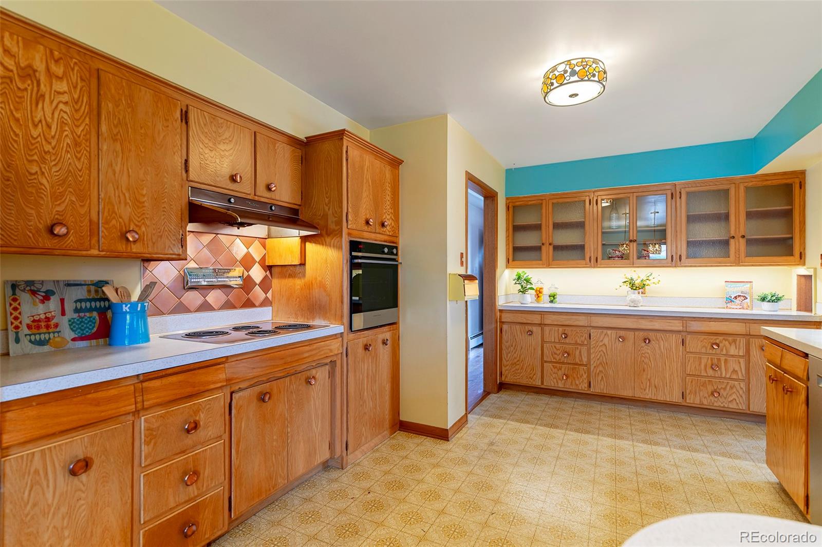 MLS Image #18 for 1009  corey street,longmont, Colorado