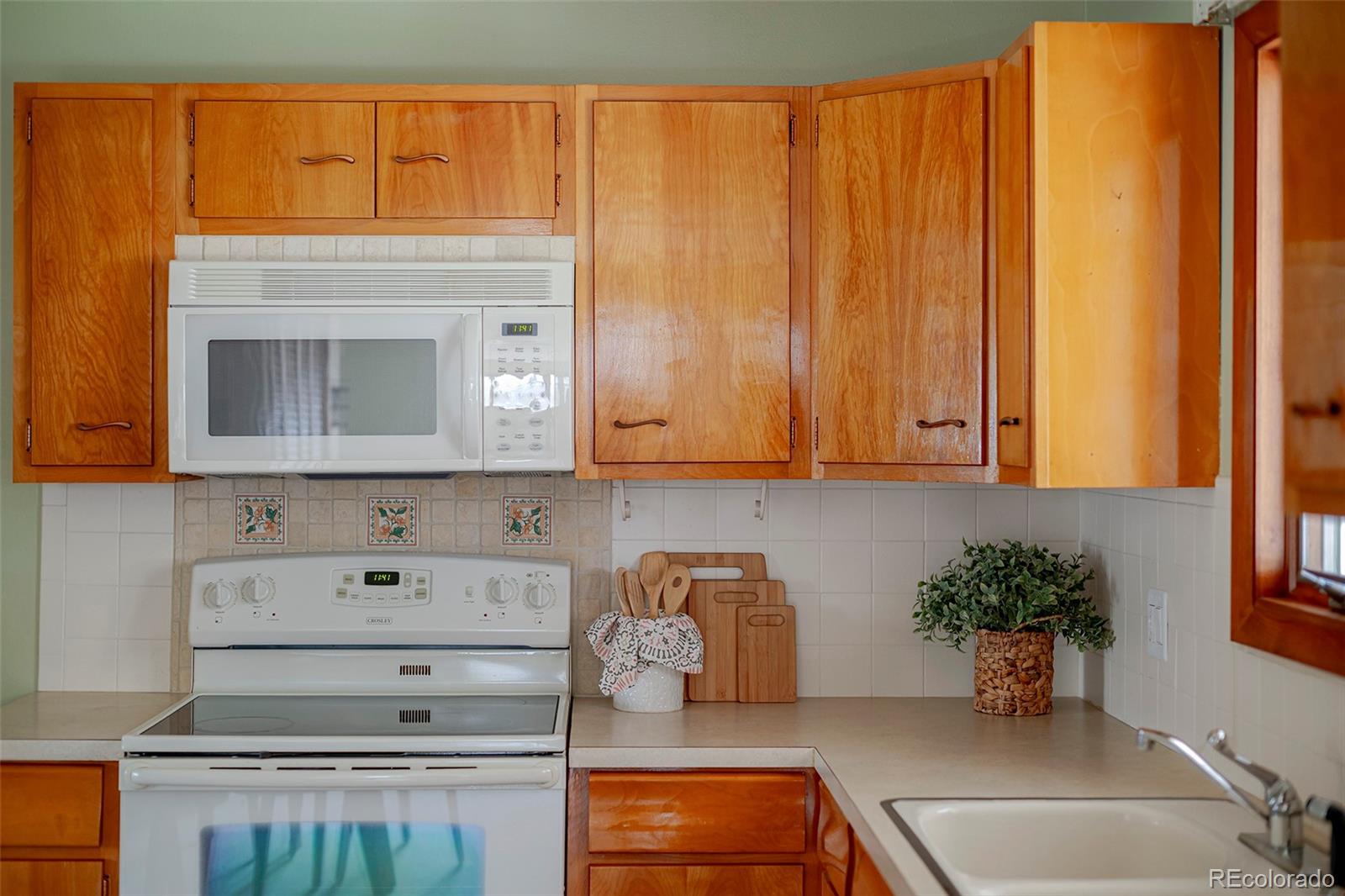 MLS Image #12 for 1036  sumac street,longmont, Colorado