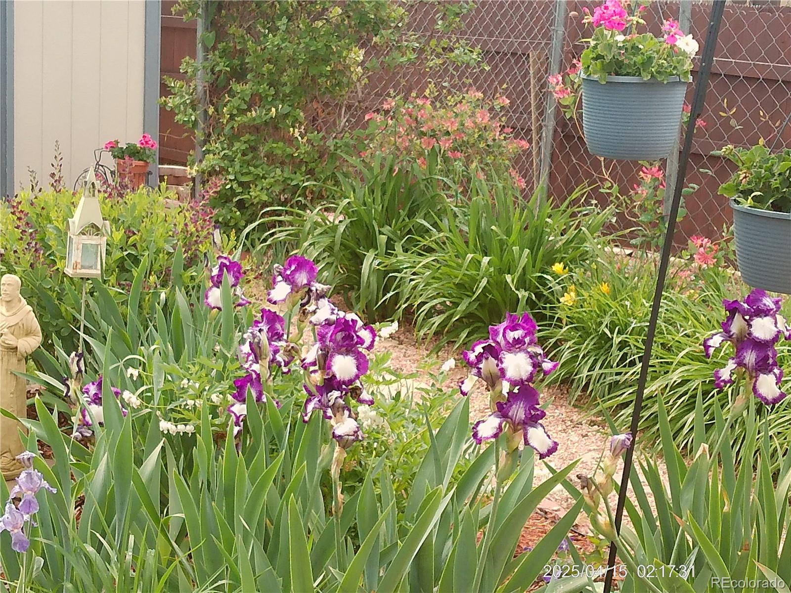 MLS Image #34 for 2125  mt werner court,colorado springs, Colorado