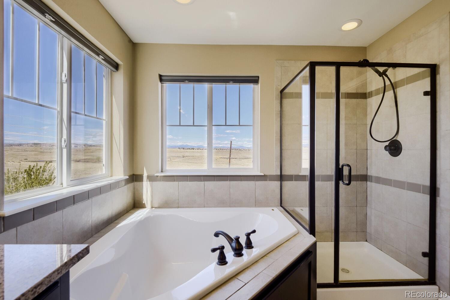 MLS Image #20 for 13771  worthington place,parker, Colorado