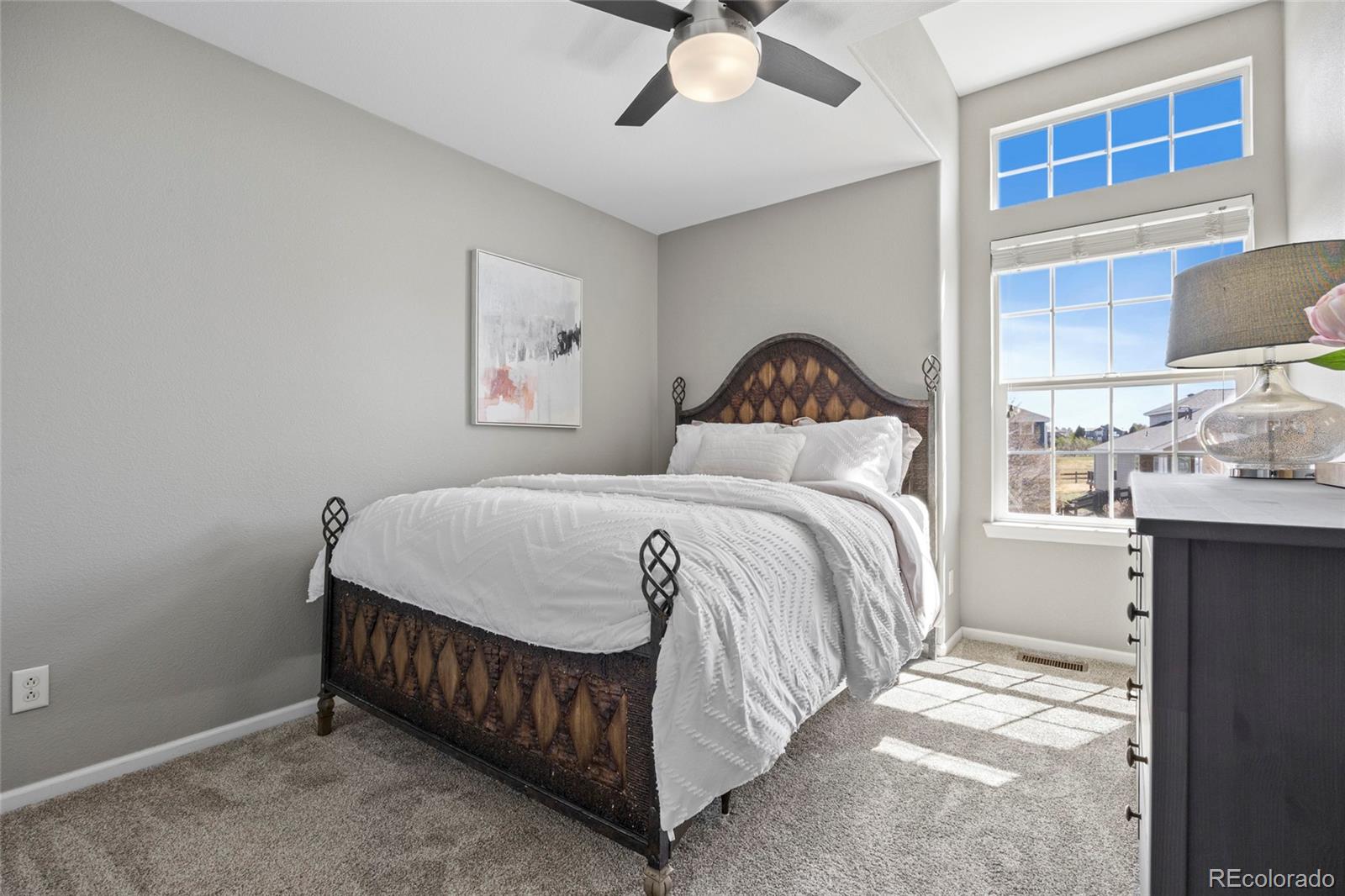 MLS Image #27 for 11629  blackmoor street,parker, Colorado