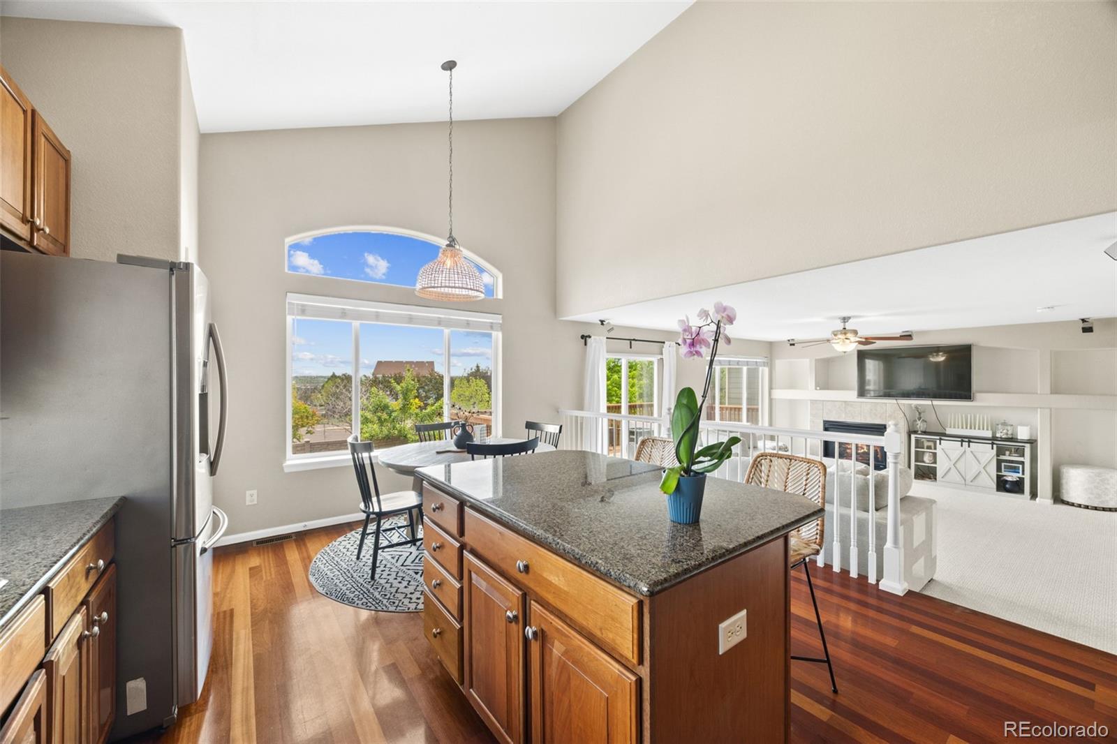 MLS Image #14 for 11856  trail view lane,parker, Colorado