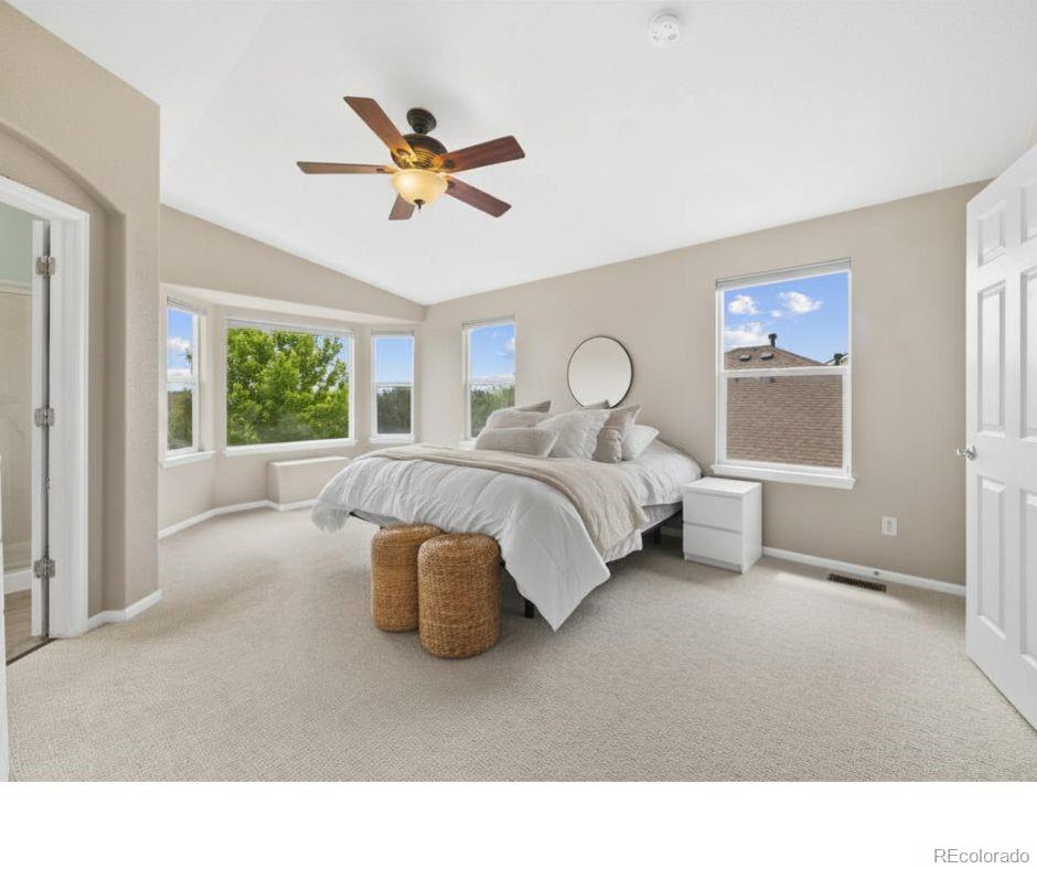 MLS Image #23 for 11856  trail view lane,parker, Colorado