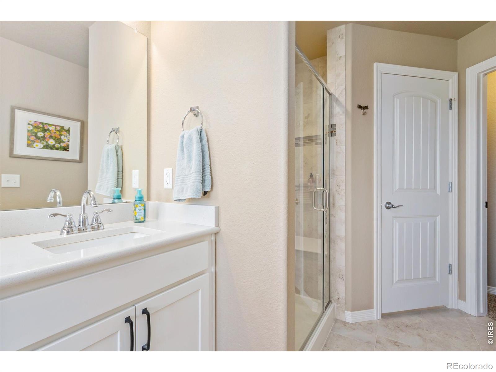 MLS Image #15 for 5521  homeward drive,timnath, Colorado
