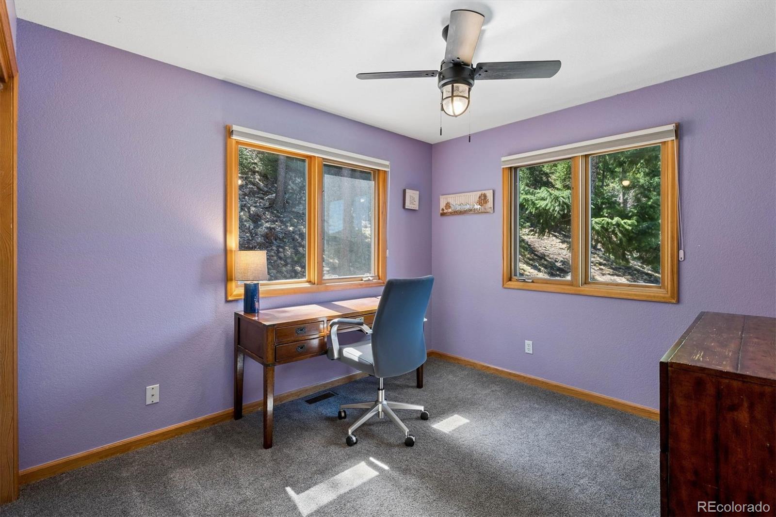 MLS Image #21 for 29451  falcon ridge drive,evergreen, Colorado