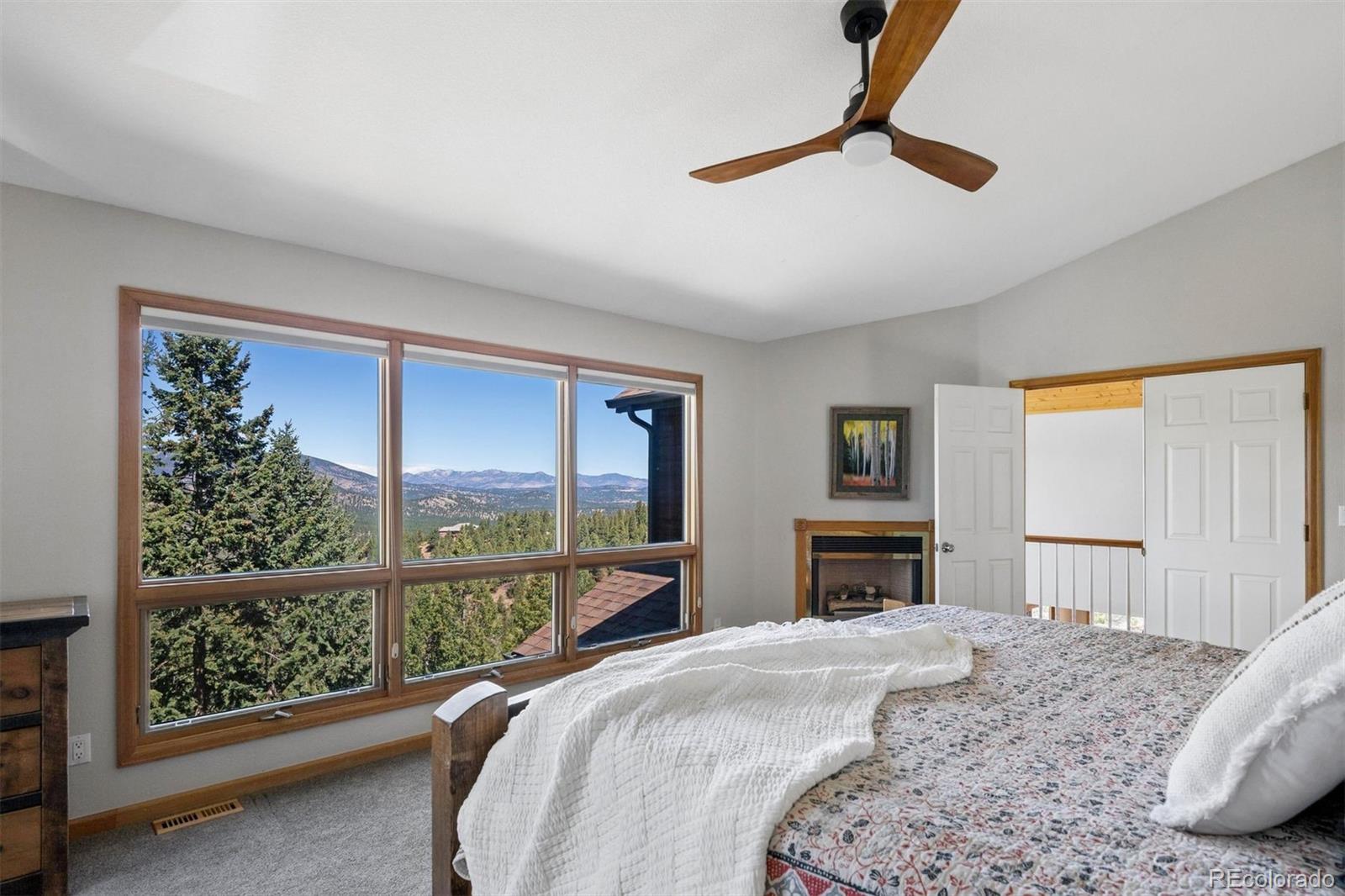 MLS Image #26 for 29451  falcon ridge drive,evergreen, Colorado
