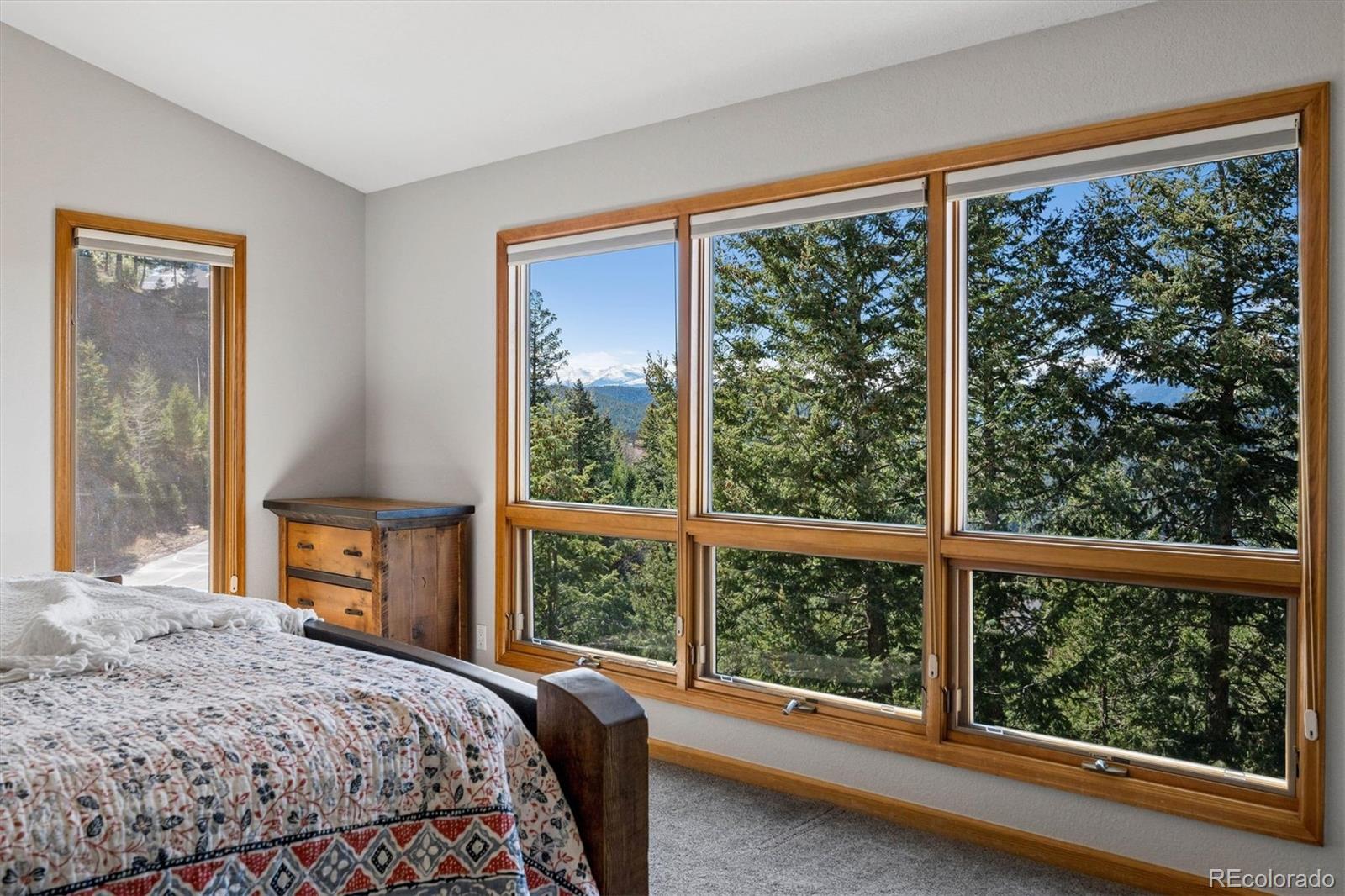MLS Image #27 for 29451  falcon ridge drive,evergreen, Colorado