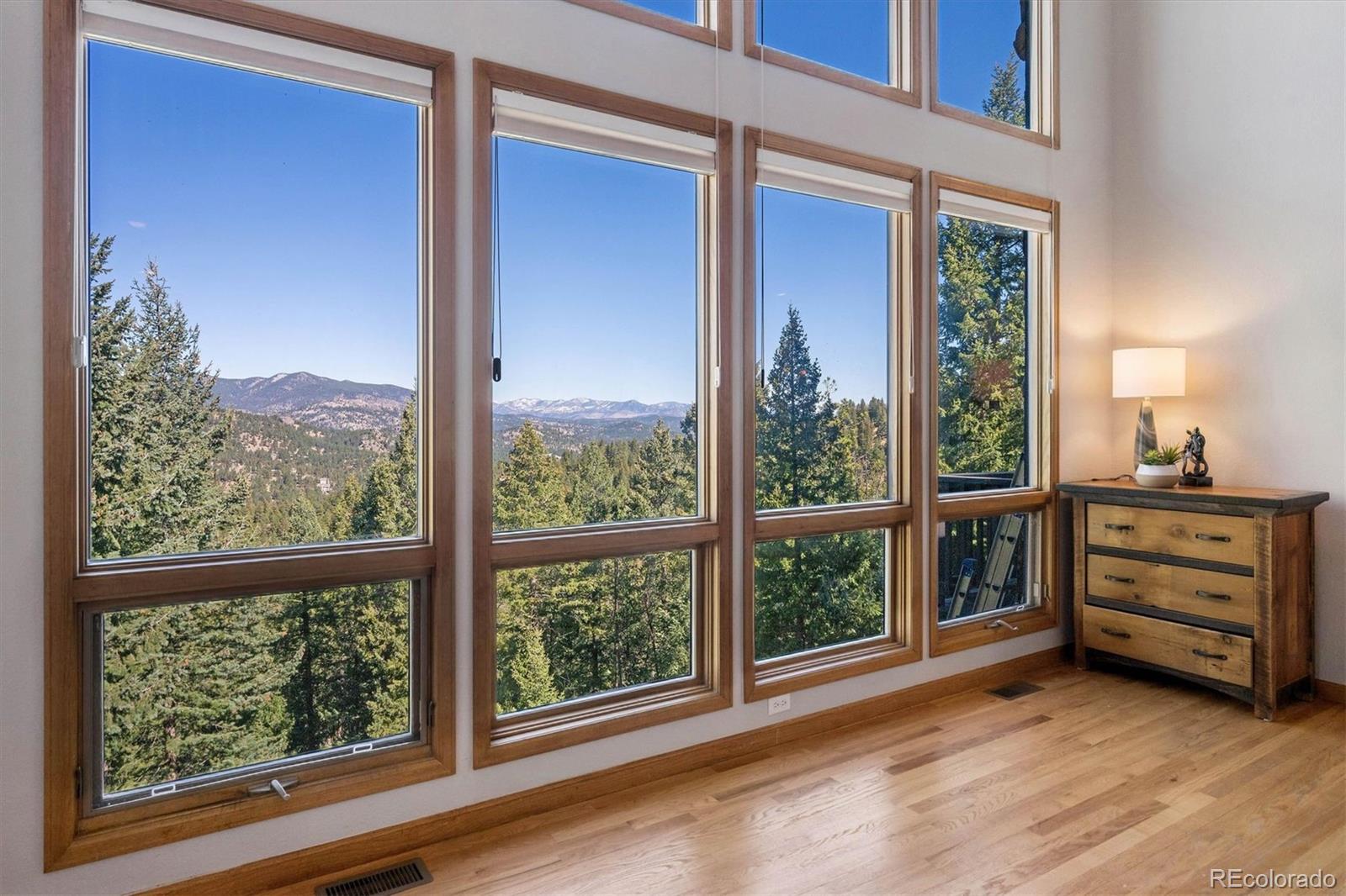 MLS Image #7 for 29451  falcon ridge drive,evergreen, Colorado