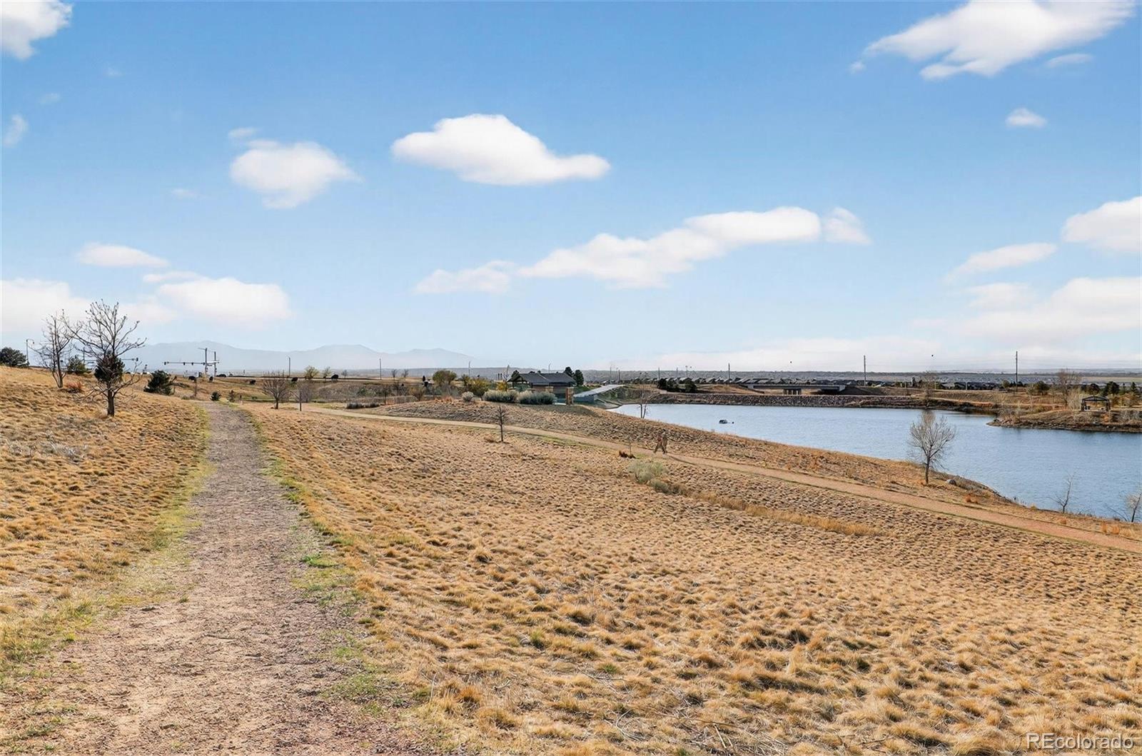 MLS Image #44 for 16036  swan mountain drive,broomfield, Colorado