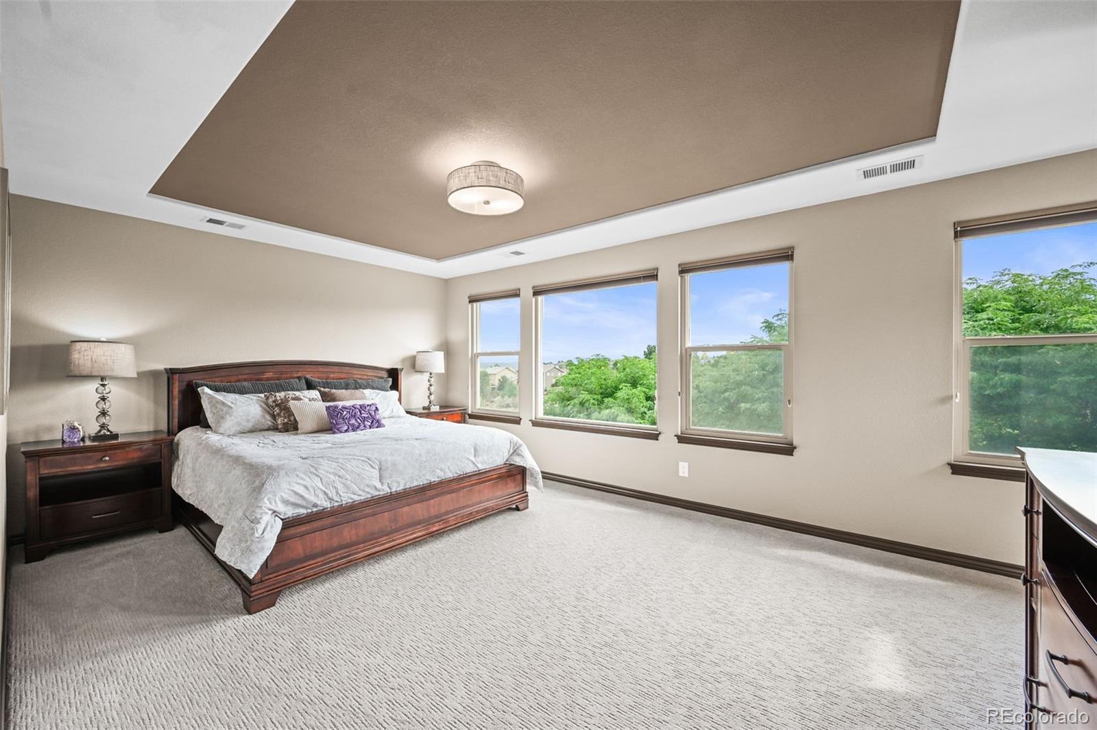 MLS Image #15 for 2980  craig court,castle rock, Colorado