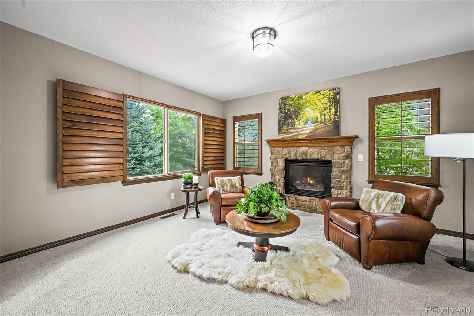 MLS Image #2 for 2980  craig court,castle rock, Colorado