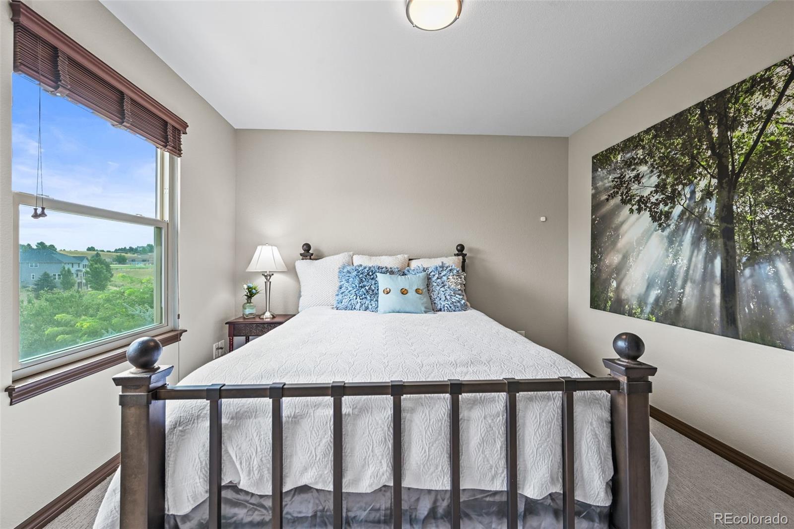 MLS Image #20 for 2980  craig court,castle rock, Colorado