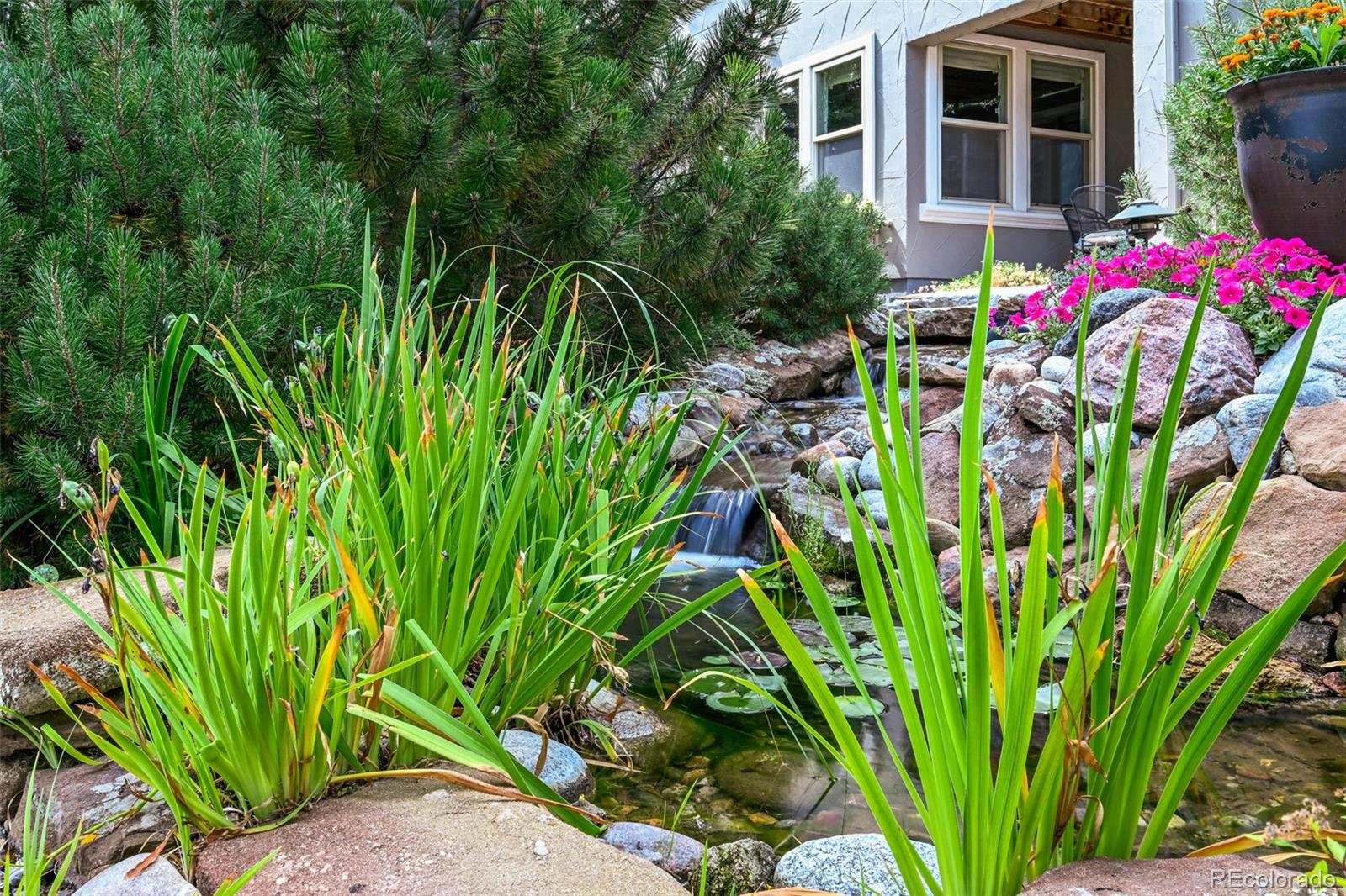 MLS Image #36 for 2980  craig court,castle rock, Colorado