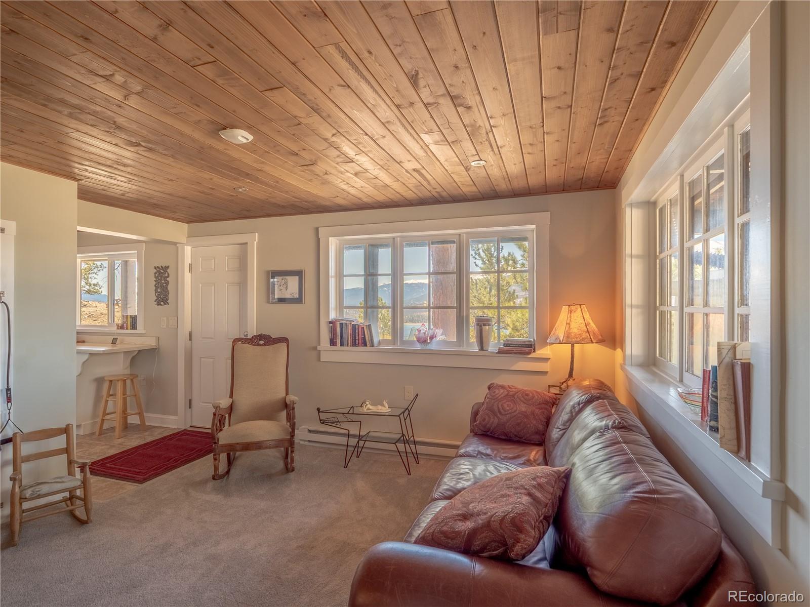 MLS Image #28 for 48  mount hope drive,twin lakes, Colorado