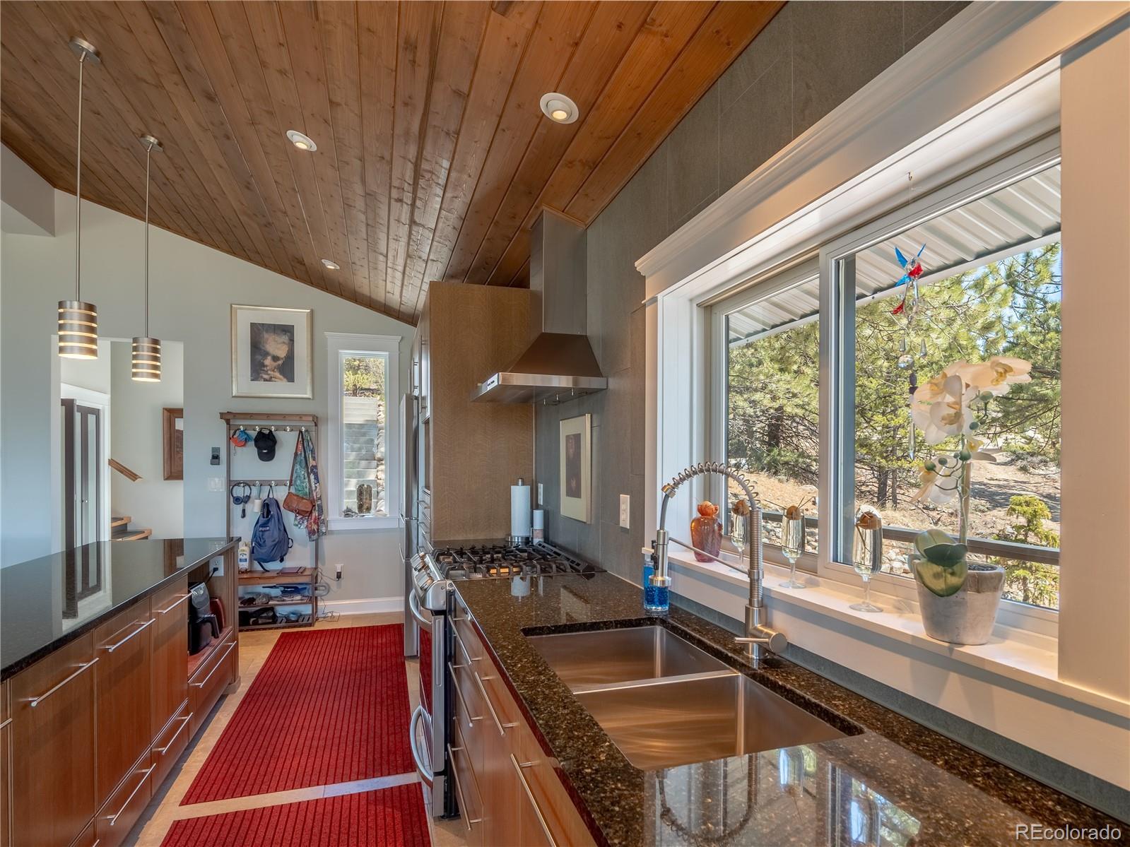 MLS Image #8 for 48  mount hope drive,twin lakes, Colorado