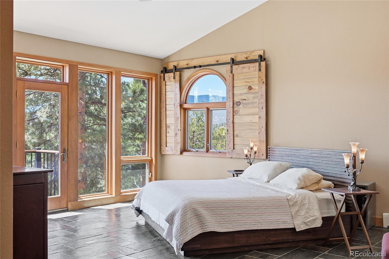MLS Image #11 for 16  auk lane,bailey, Colorado