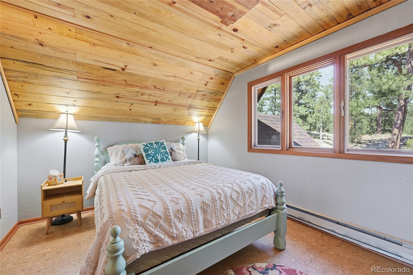 MLS Image #17 for 16  auk lane,bailey, Colorado