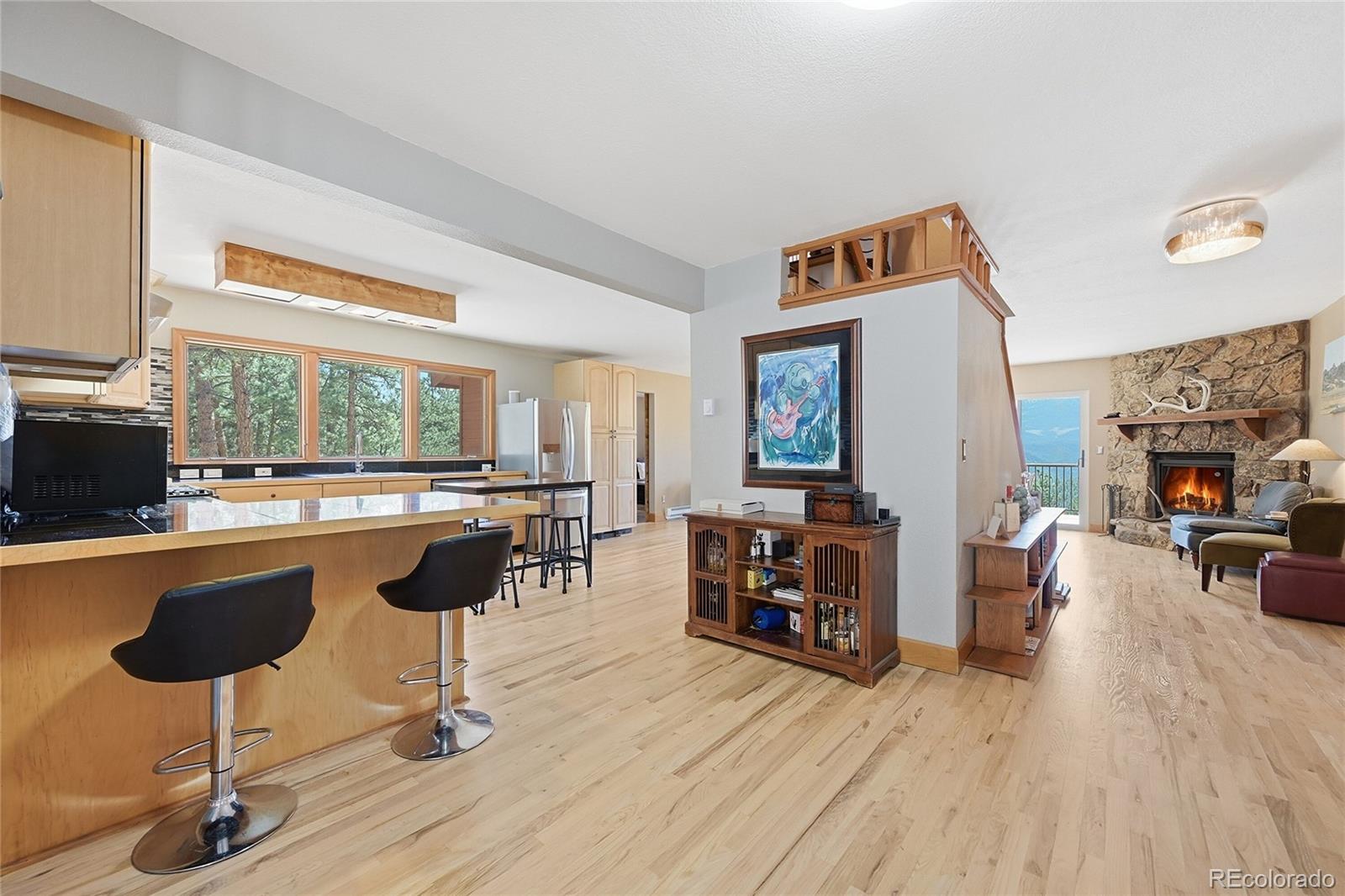 MLS Image #2 for 16  auk lane,bailey, Colorado