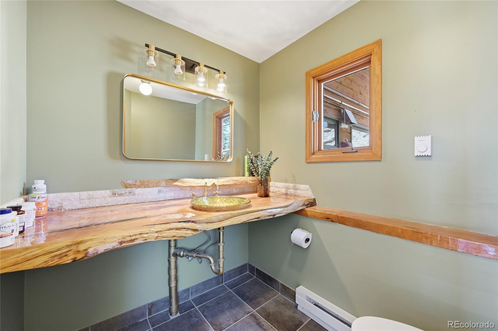 MLS Image #20 for 16  auk lane,bailey, Colorado