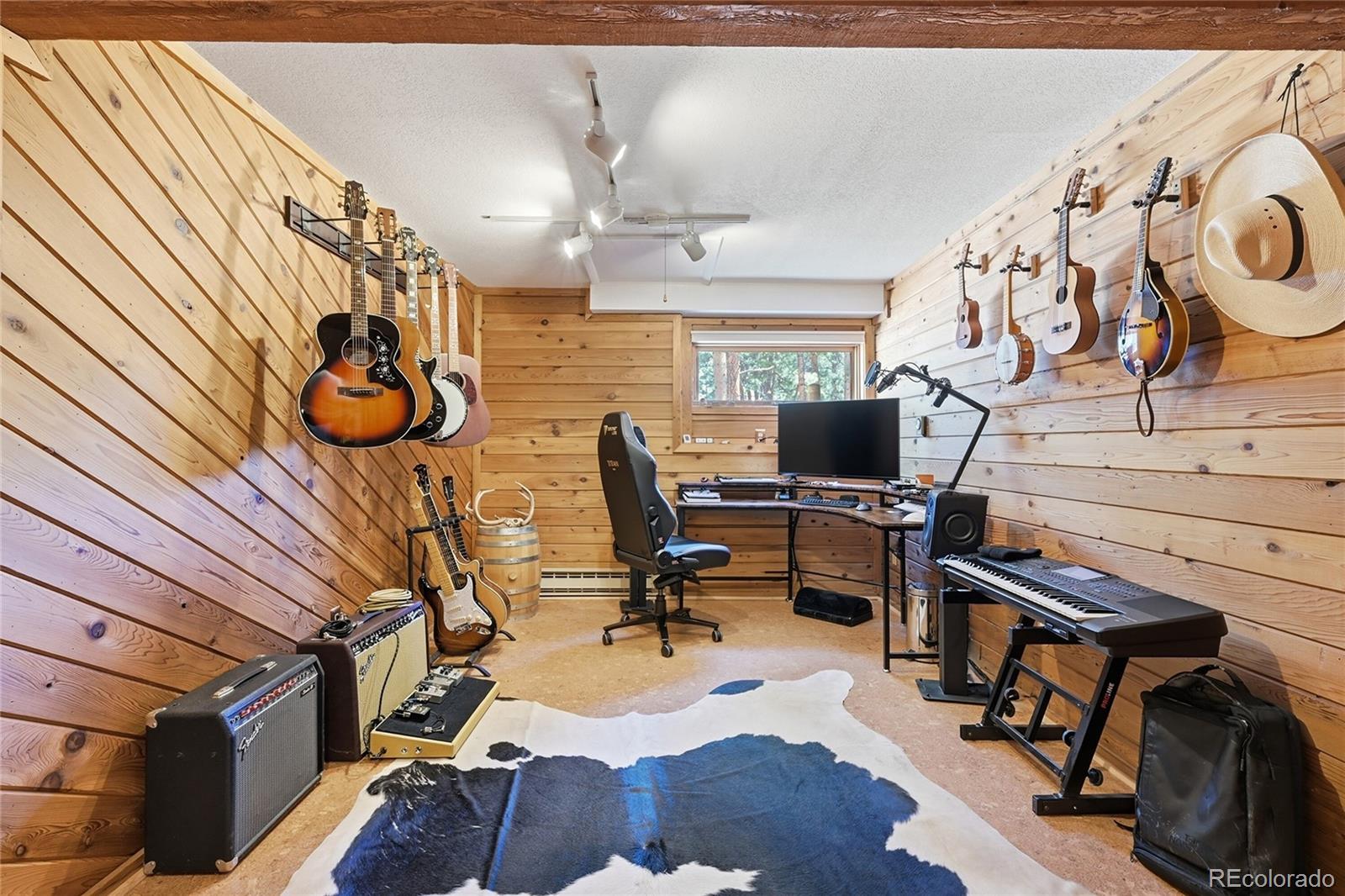 MLS Image #21 for 16  auk lane,bailey, Colorado