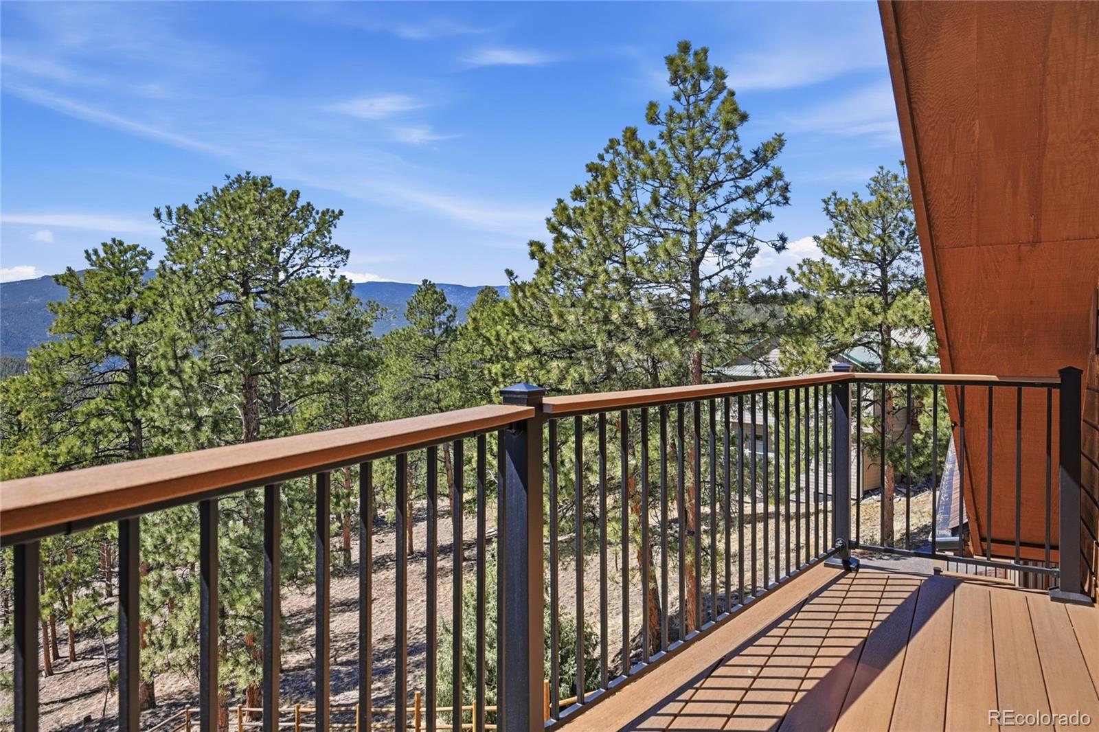 MLS Image #27 for 16  auk lane,bailey, Colorado