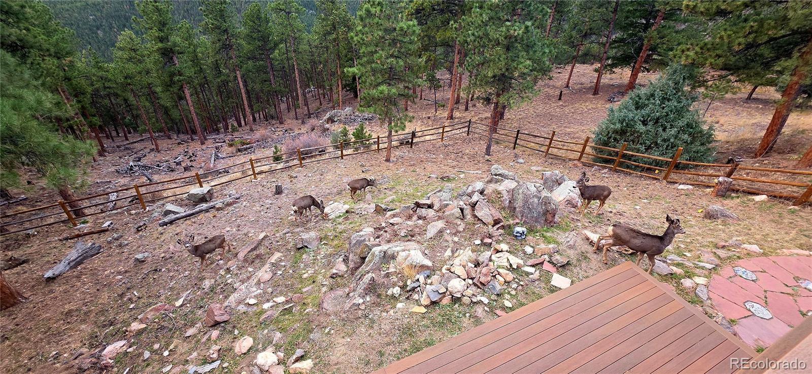 MLS Image #36 for 16  auk lane,bailey, Colorado