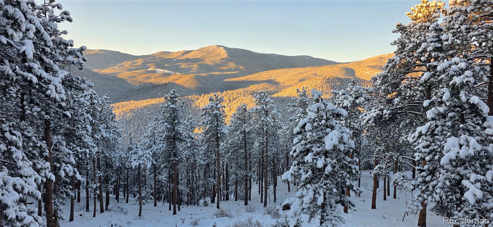 MLS Image #37 for 16  auk lane,bailey, Colorado