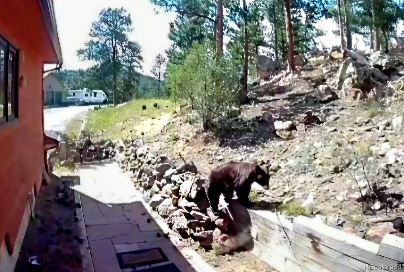 MLS Image #38 for 16  auk lane,bailey, Colorado