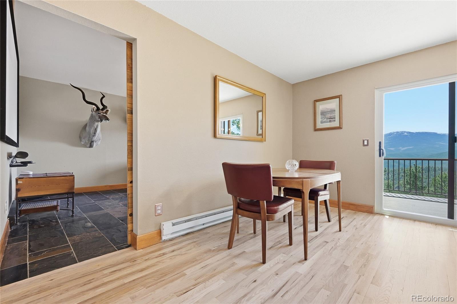 MLS Image #8 for 16  auk lane,bailey, Colorado