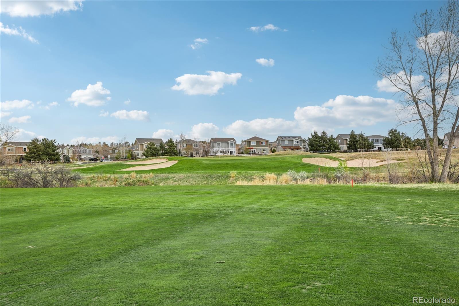 MLS Image #47 for 24081 e royal meadows avenue,parker, Colorado